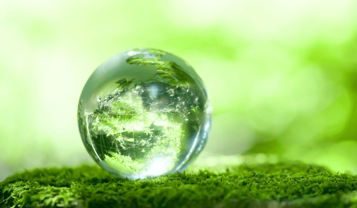 Tendencia ecológica empresas de limpieza que cuidan el medio ambiente-min