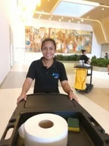 limpieza profesional