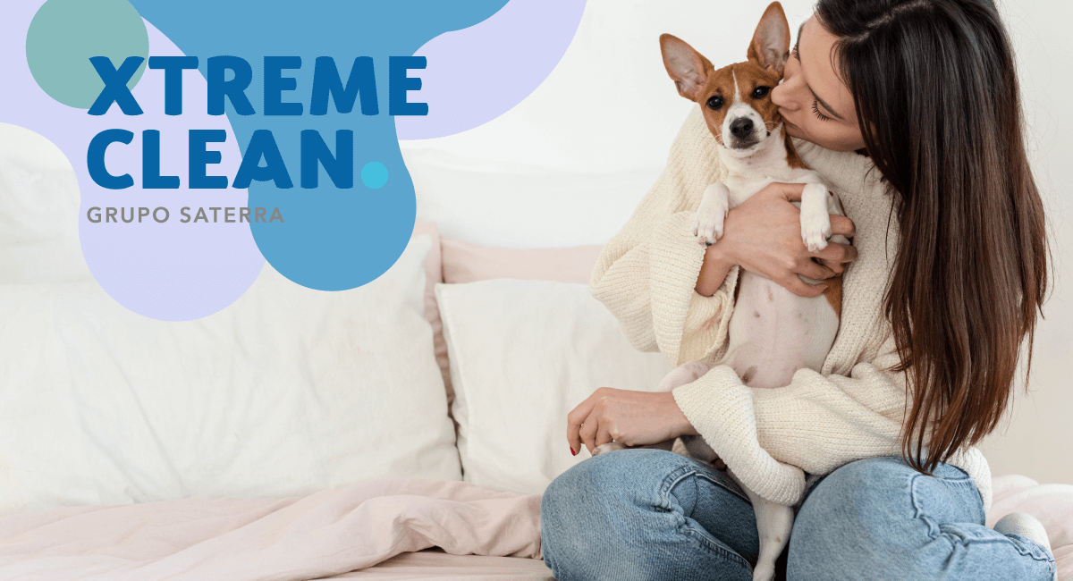 mascotasencasa - Un nuevo integrante dentro de la casa