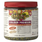 Color Premium Evergreen