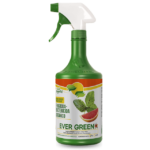 Ever Green Fungicida Bactericida Organico