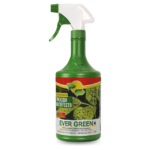 Fungicida multiefecto, Evergreen
