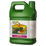 Solución hidropónica mayor, Ever Green