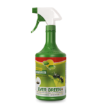 Hormigreen, Ever Green