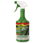 Insecticida multiefecto, Evergreen