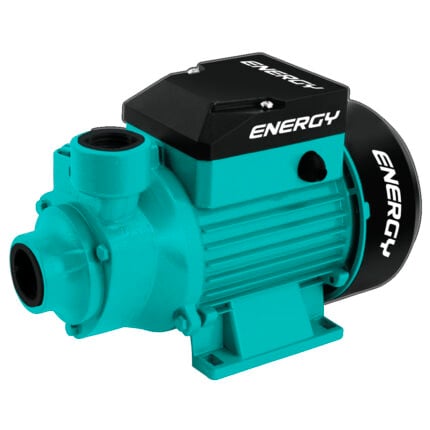 Bomba de agua 120V 60Hz P12/1 BV para uso industrial